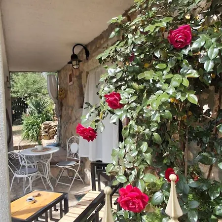 Rustic Garden & Jacuzzi Retreat Daire